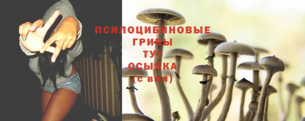 бошки Верея
