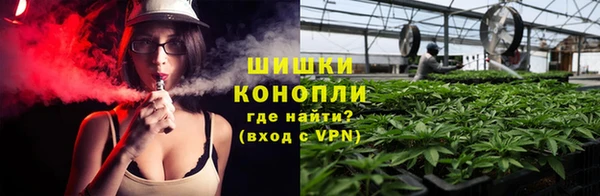 бошки Верея